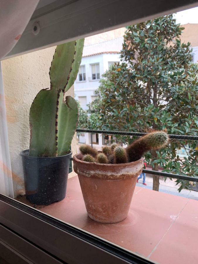 Apartamento Cambrilsfornia Apartment Bagian luar foto